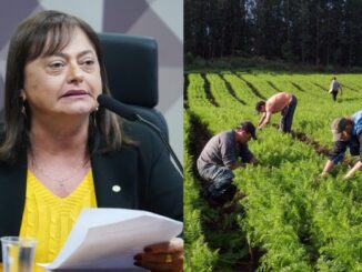 Deputada Alice Portugal durante sessão da Câmara aprova projeto de hortas comunitárias em áreas urbanas.