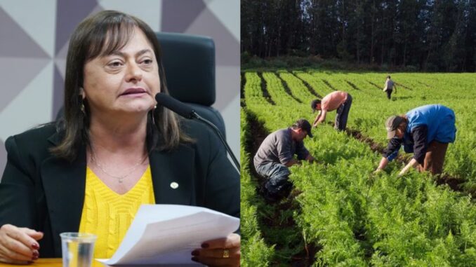 Deputada Alice Portugal durante sessão da Câmara aprova projeto de hortas comunitárias em áreas urbanas.