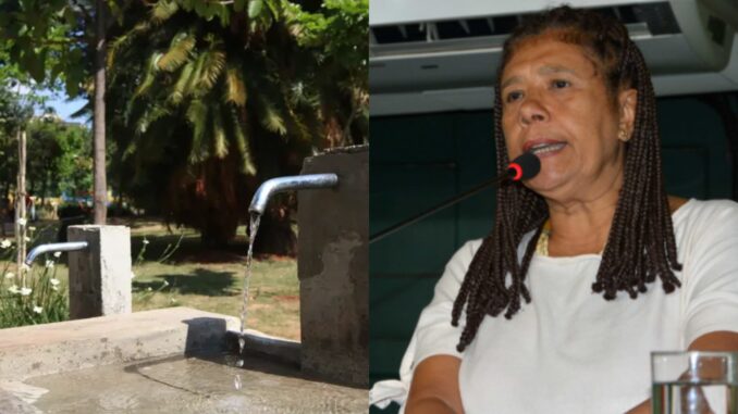 Montagem mostra bebedouro instalado em praça arborizada e a vereadora Marta Rodrigues falando ao microfone durante sessão.